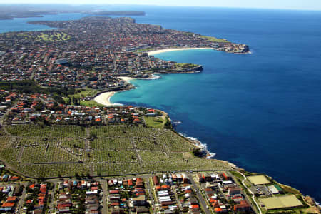 Aerial Image of CLOVELLY AND BRONTE.