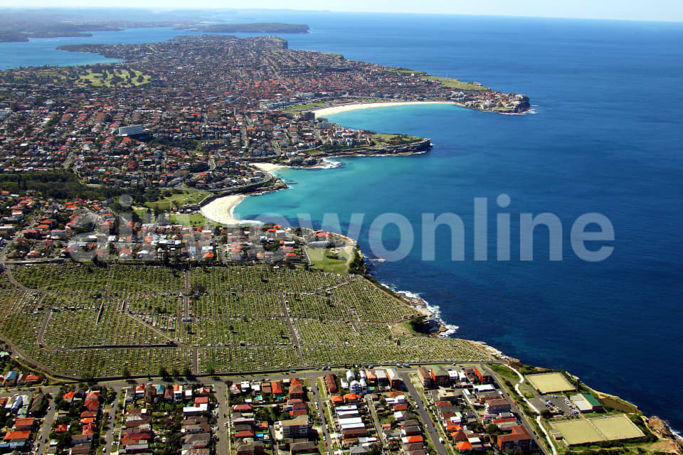Aerial Image of Clovelly and Bronte