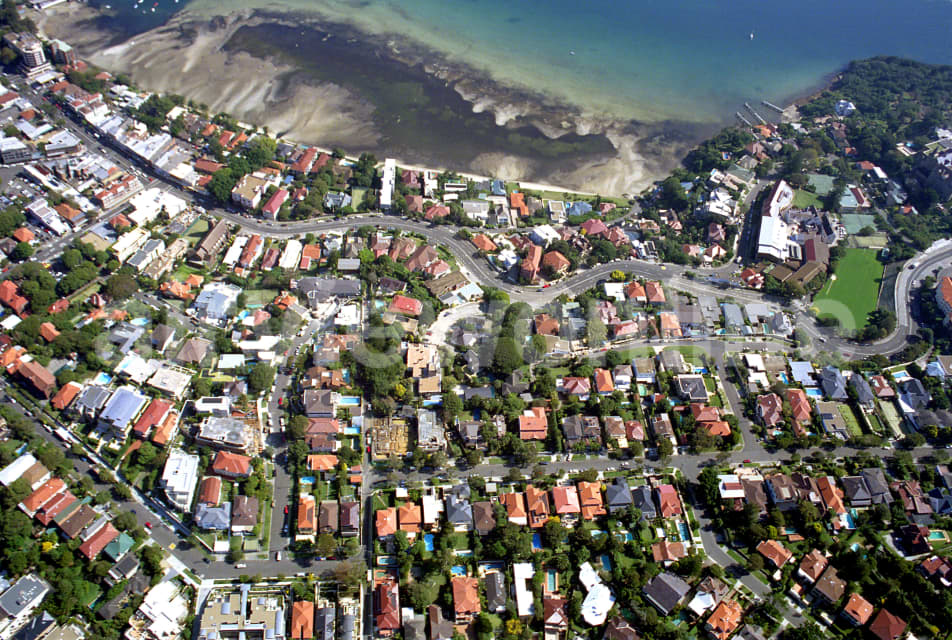 Aerial Image of Rose Bay vertical