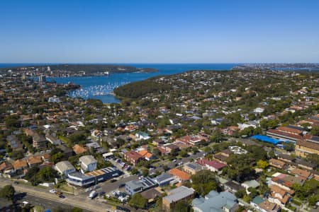 Aerial Image of BALGOWLAH