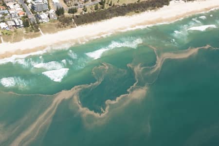 Aerial Image of LARGE ALGAL BLOOM ON THE GOLD COAST