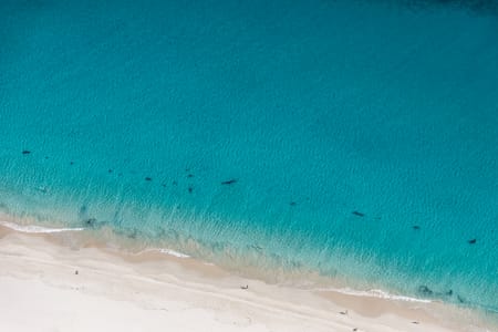 Aerial Image of NORTH FREMANTLE