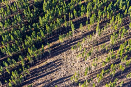 Aerial Image of BOLWARRAH