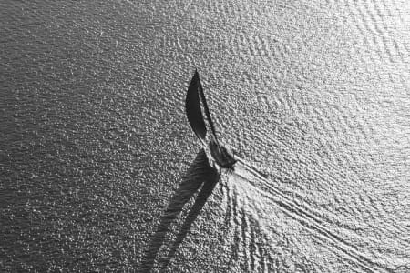 Aerial Image of POTTS POINT