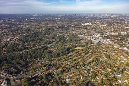 Aerial Image of DENISTONE
