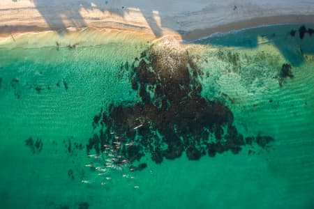 Aerial Image of COTTESLOE