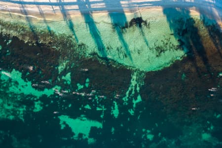 Aerial Image of COTTESLOE
