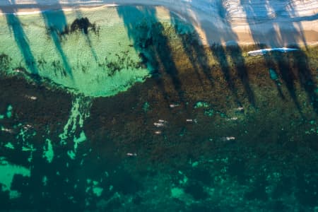 Aerial Image of COTTESLOE