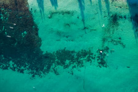 Aerial Image of COTTESLOE