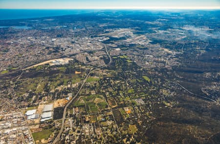 Aerial Image of ORANGE GROVE