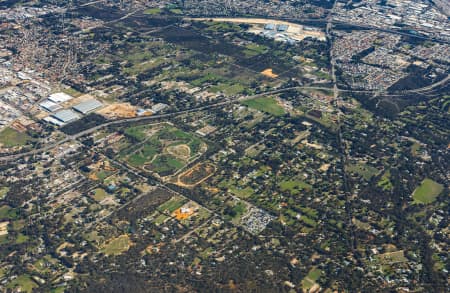 Aerial Image of Orange Grove