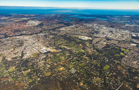 Aerial Image of ORANGE GROVE