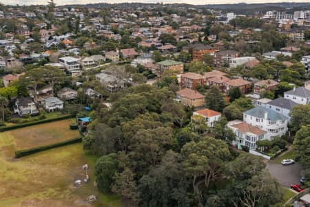 Aerial Image of BALGOWLAH