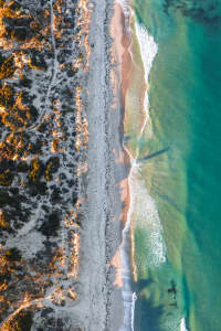 Aerial Image of CITY BEACH