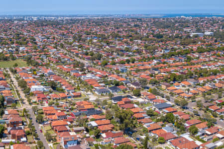 Aerial Image of CLEMTON PARK