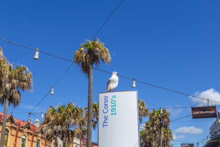 Aerial Image of MANLY