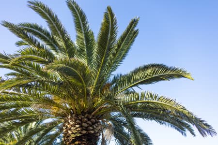 Aerial Image of MILSONS POINT
