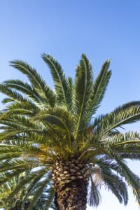 Aerial Image of MILSONS POINT