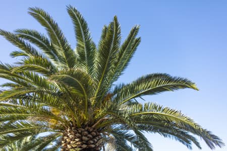 Aerial Image of MILSONS POINT