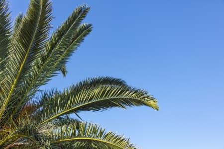 Aerial Image of MILSONS POINT