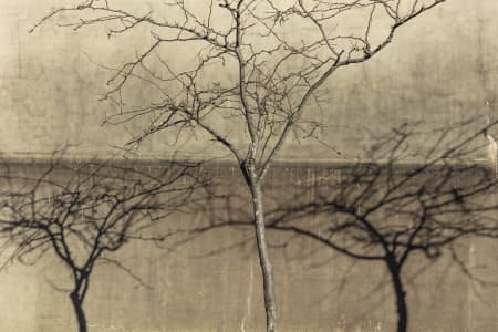 Aerial Image of KIRRIBILLI