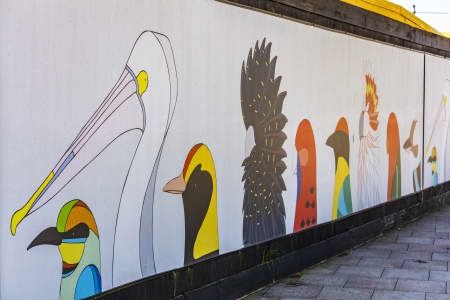 Aerial Image of ROSEBERY