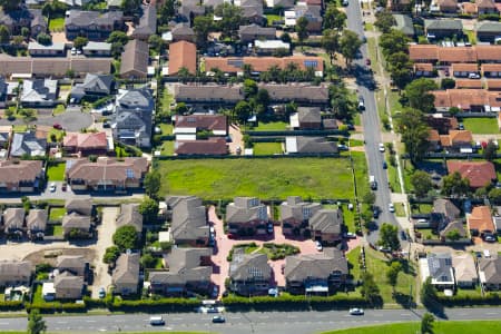 Aerial Image of MOUNT DRUITT