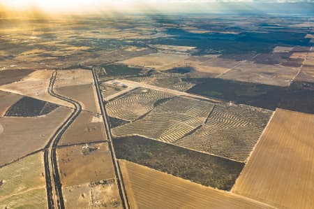 Aerial Image of MERREDIN