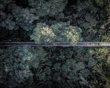 Aerial Image of BALOOK