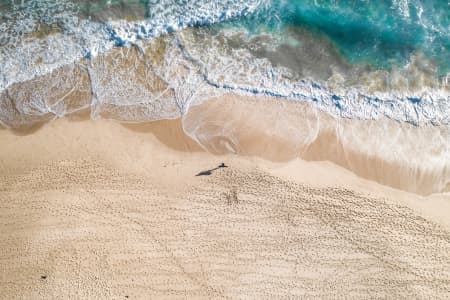 Aerial Image of SAINT ANDREWS BEACH