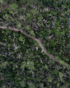 Aerial Image of ARTHURS SEAT