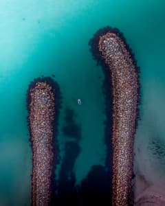 Aerial Image of SAFETY BEACH