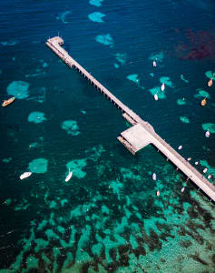 Aerial Image of FLINDERS