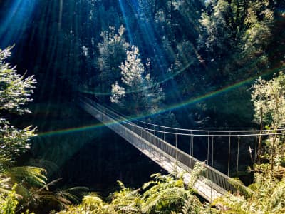 Aerial Image of BALOOK