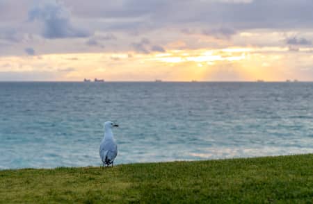Aerial Image of SCARBOROUGH