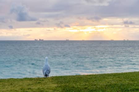 Aerial Image of SCARBOROUGH