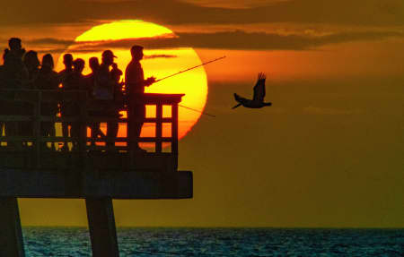 Aerial Image of NAPLES