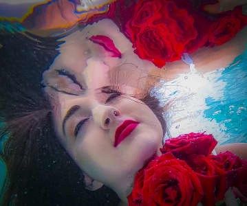 Aerial Image of ESTERO