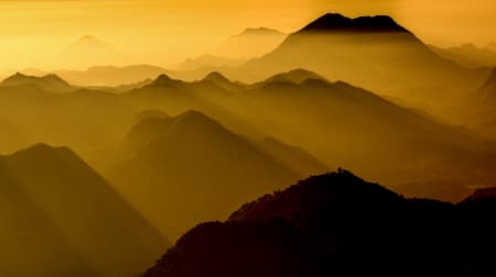 Aerial Image of RED FIR